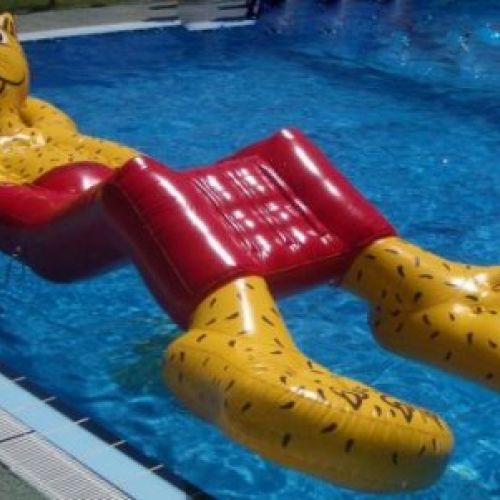 gato piscina
